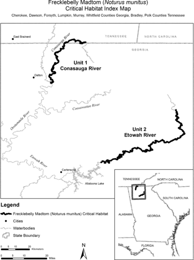 Regulatory graphic accompanying: ) paragraph (5)