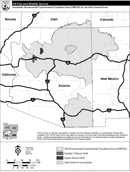 Regulatory graphic accompanying: We will not include a reevaluation of the “nonessential experimental” designation for these populations during our review of the initial five year reintroduction program…