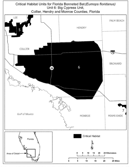 Regulatory graphic accompanying: ) paragraph (11)(ii)