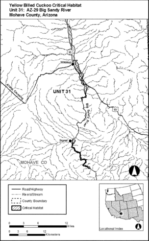 Regulatory graphic accompanying: Unit 31: AZ-29, Big Sandy River; Mohave County, Arizona. Map of Unit 31 follows