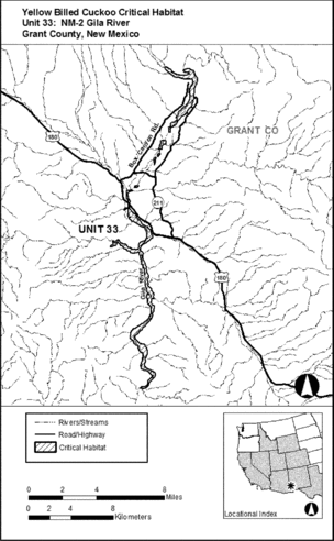 Regulatory graphic accompanying: Unit 33: NM-2, Gila River; Grant County, New Mexico. Map of Unit 33 follows