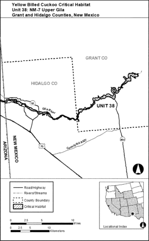 Regulatory graphic accompanying: Unit 38: NM-7, Upper Gila River; Grant and Hidalgo Counties, New Mexico. Map of Unit 38 follows