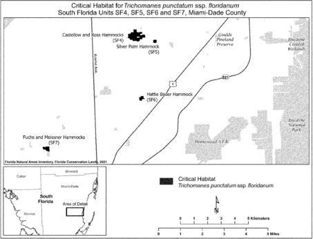 Regulatory graphic accompanying: paragraph (b)(1)(vii)(E)