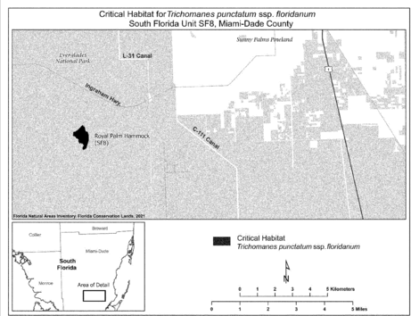 Regulatory graphic accompanying: paragraph (b)(1)(viii)(B)